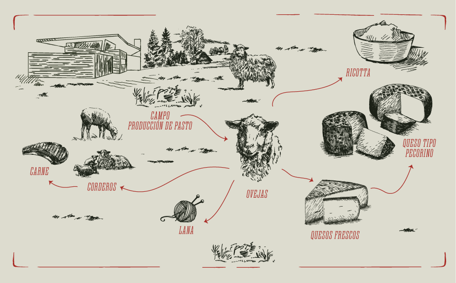 Ilustraciones de quesos